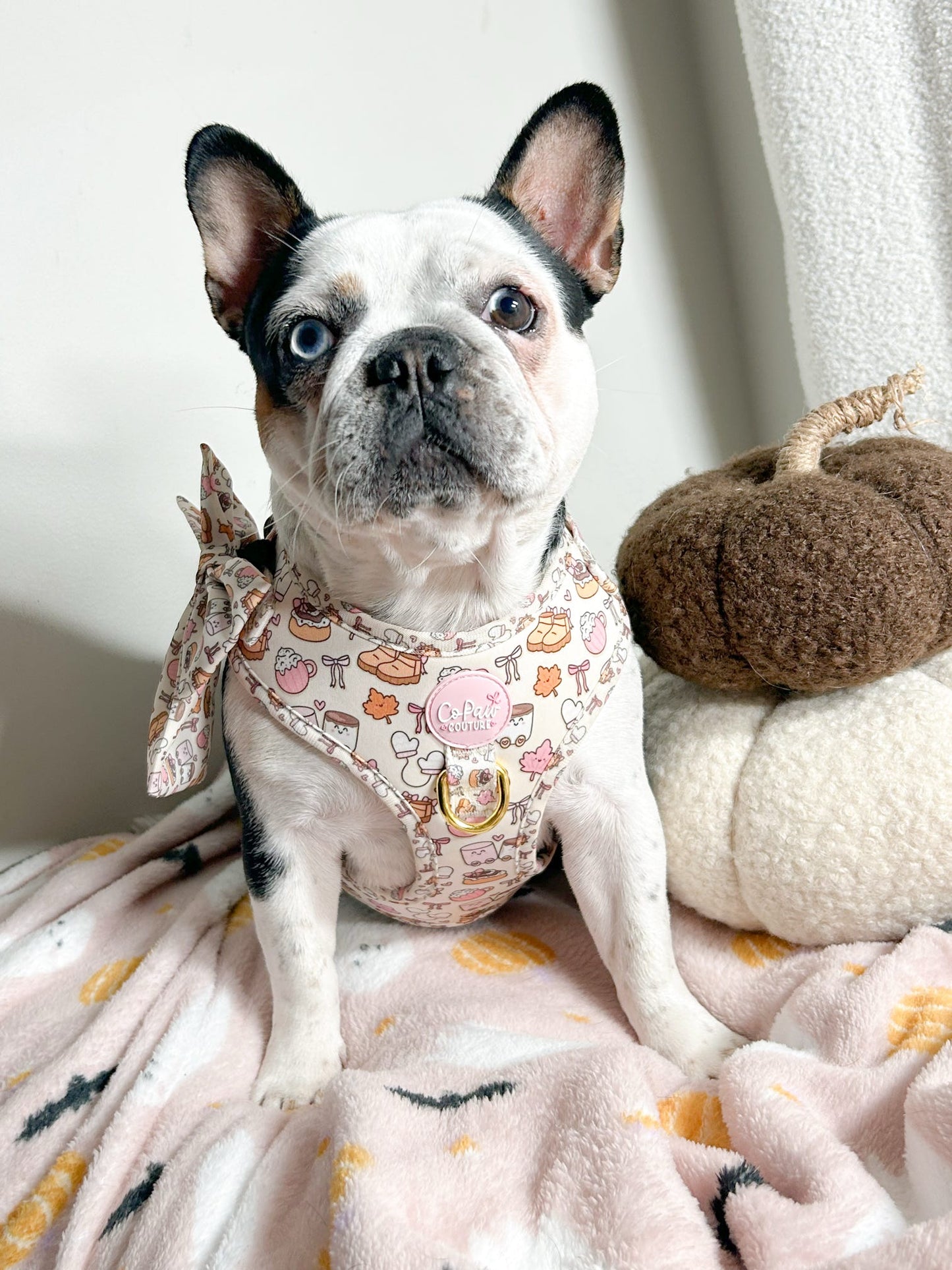 ‘Cozy Couture’ Harness
