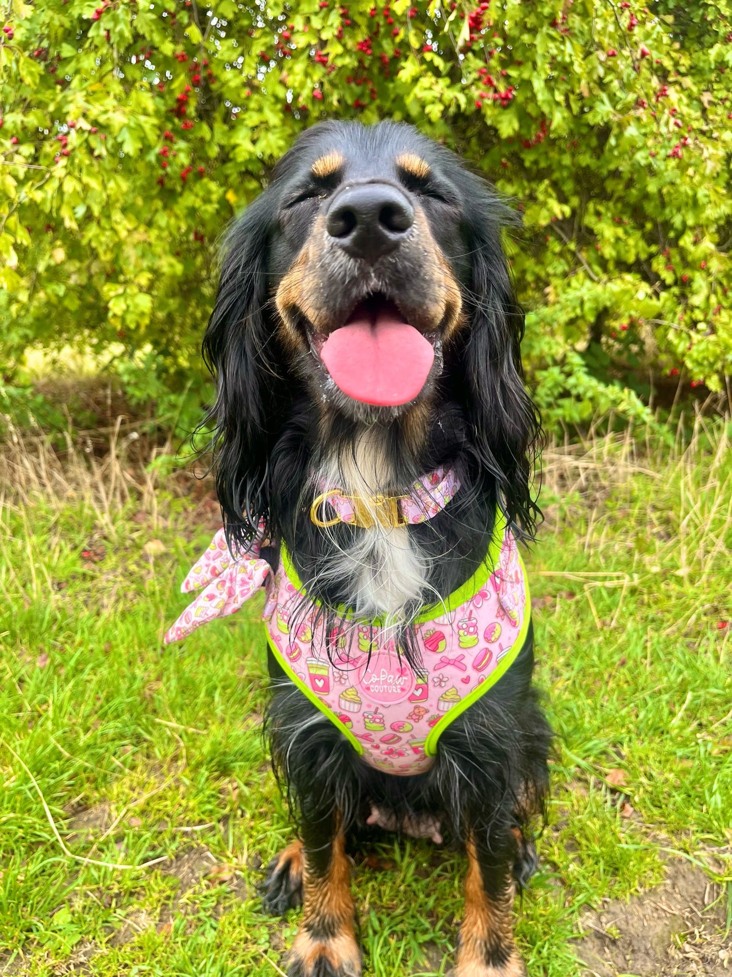 ‘Matcha Moment’ Harness