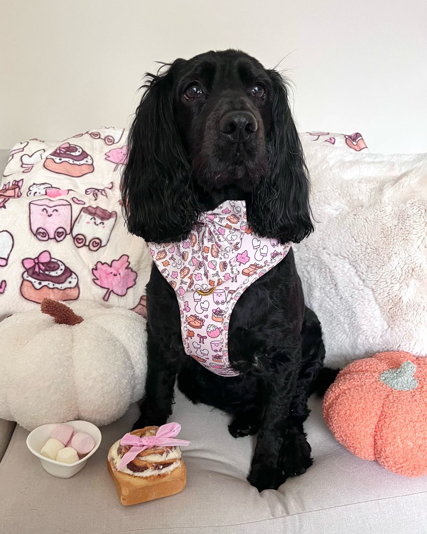 ‘Cozy Couture’ Harness