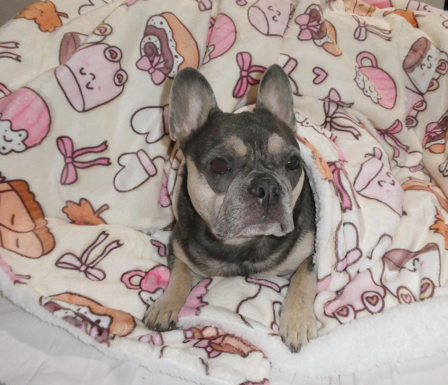 ‘Cozy Couture’ Blanket