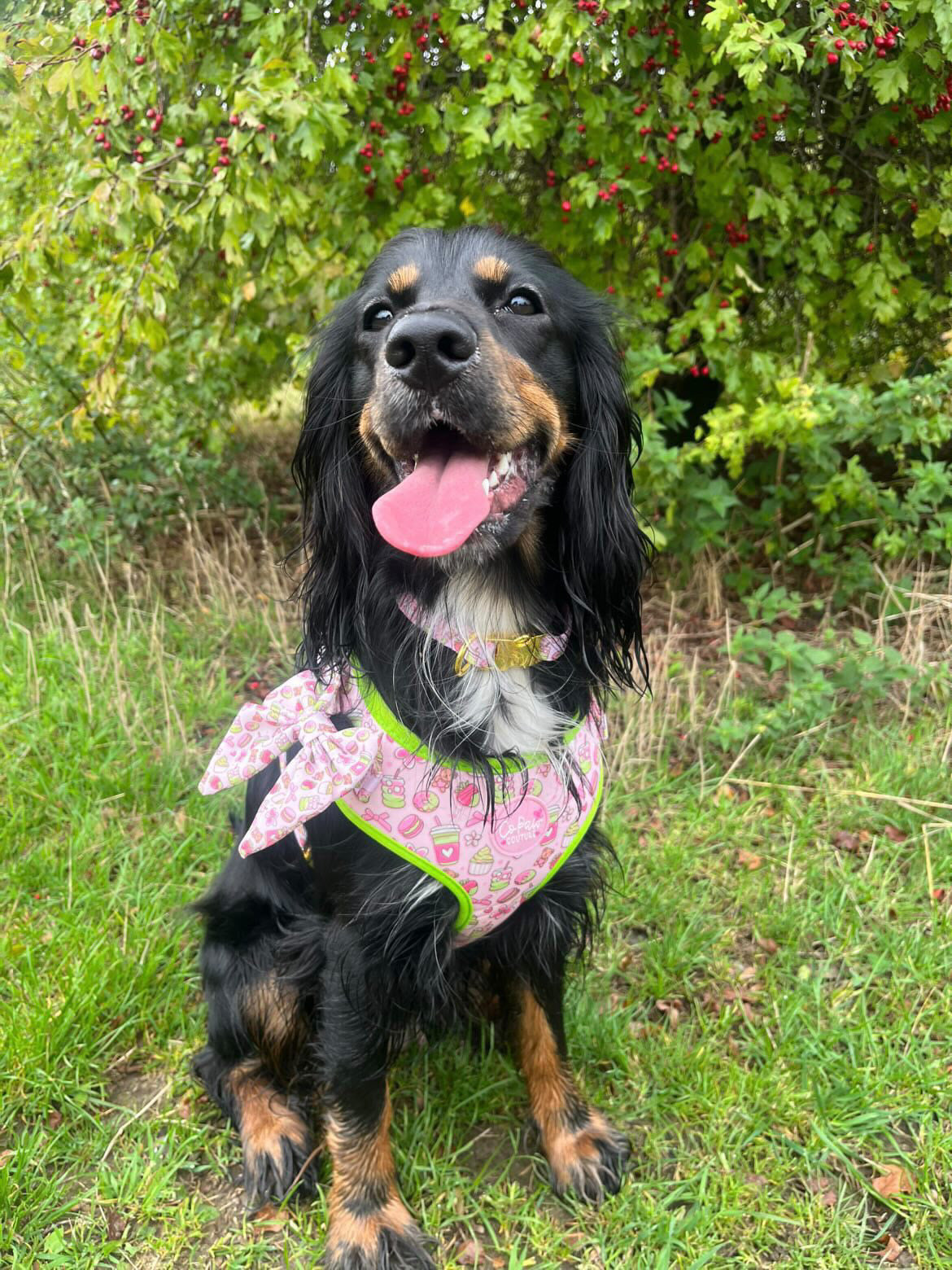 ‘Matcha Moment’ Sailor Bow