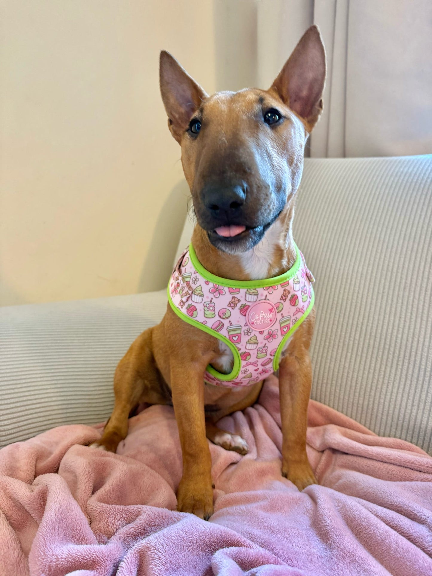 ‘Matcha Moment’ Harness