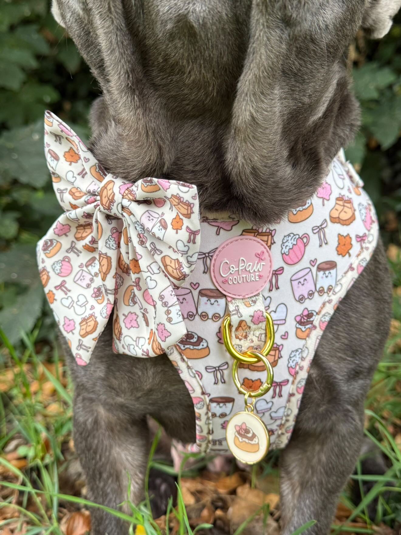 ‘Cozy Couture’ Harness