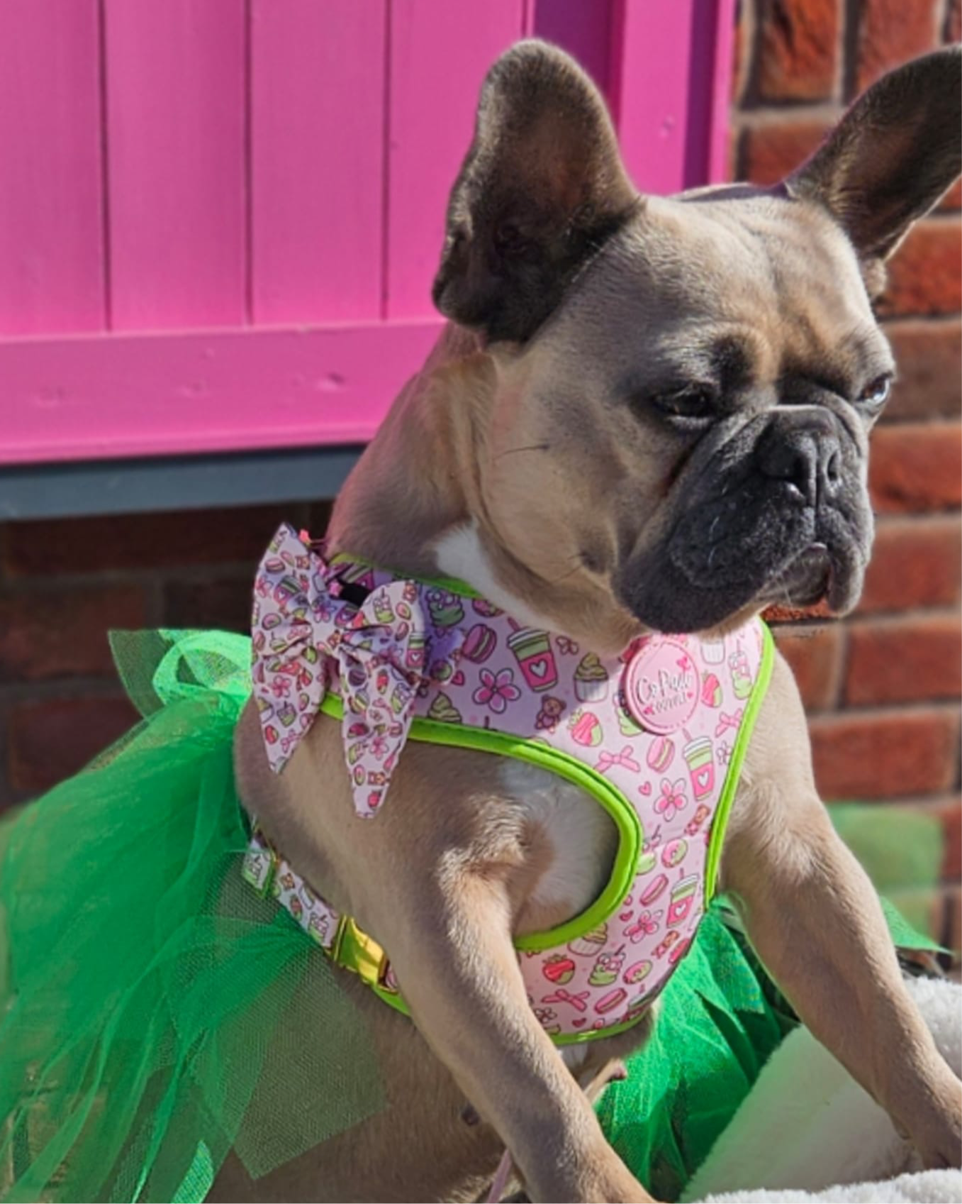 ‘Matcha Moment’ Sailor Bow