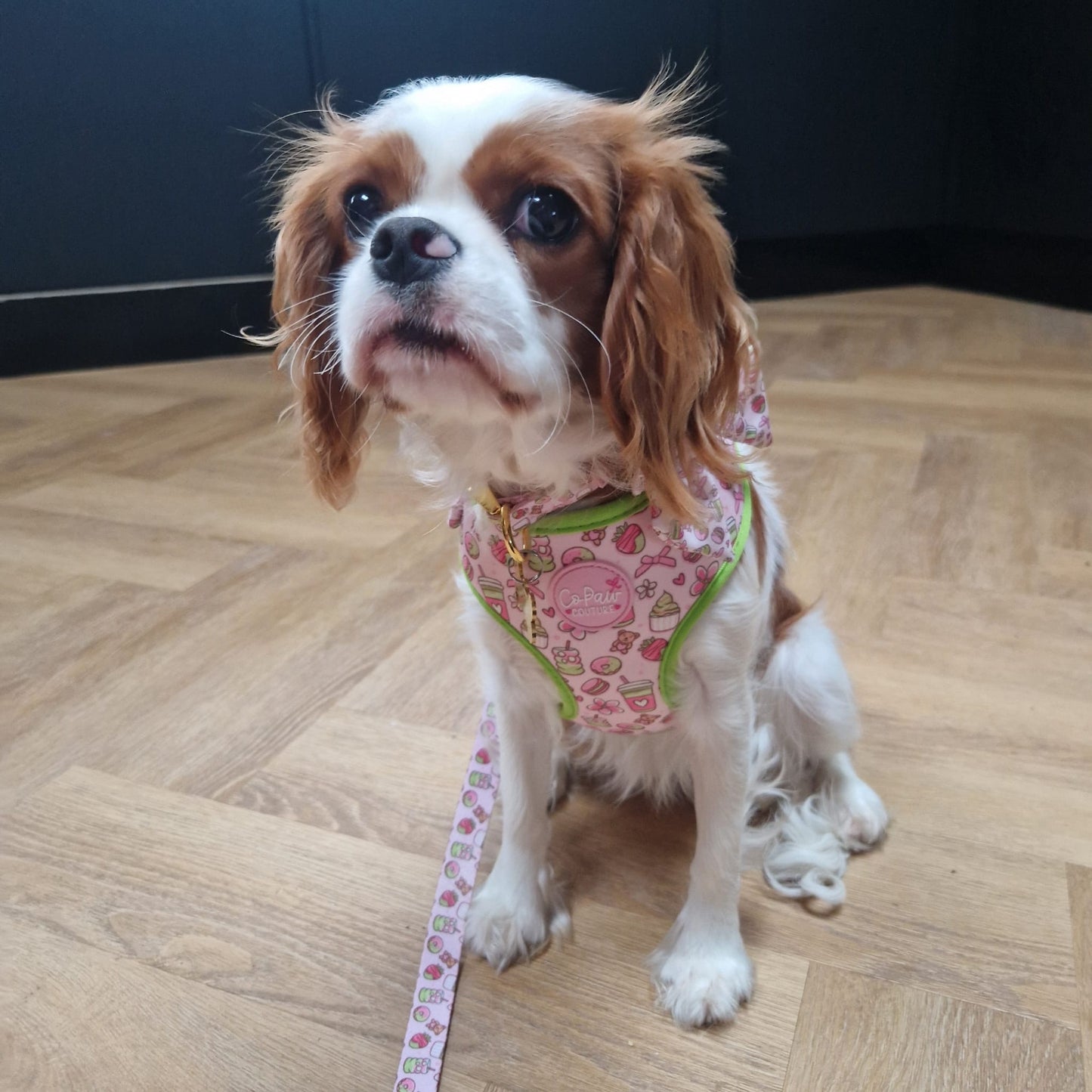 ‘Matcha Moment’ Harness