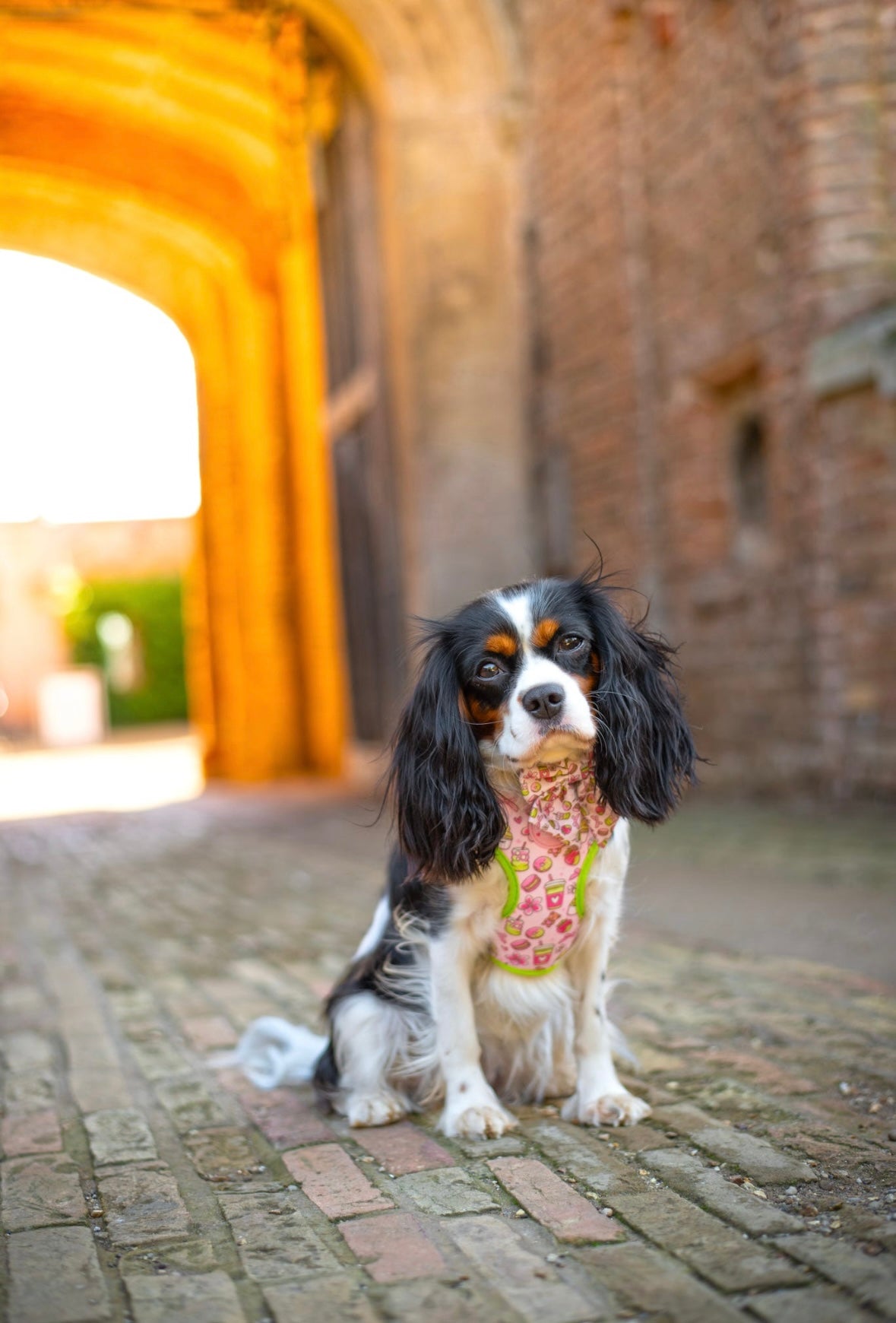 ‘Matcha Moment’ Sailor Bow