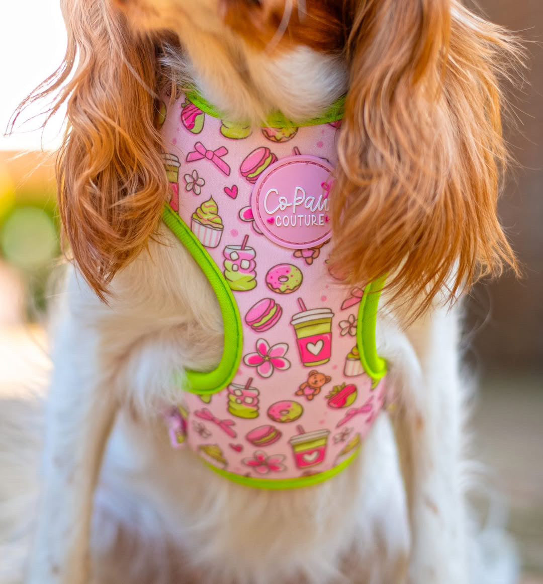 ‘Matcha Moment’ Harness