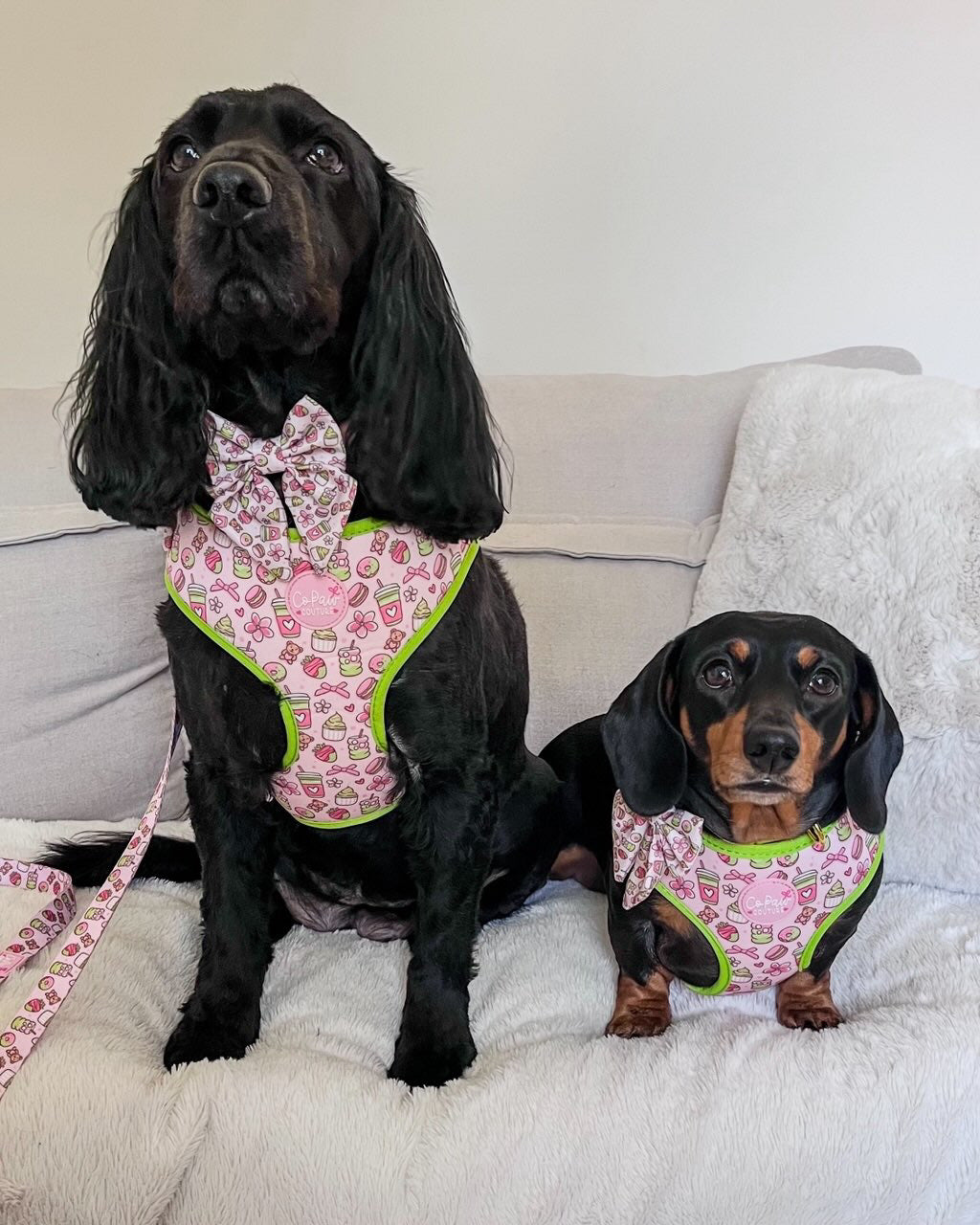 ‘Matcha Moment’ Sailor Bow