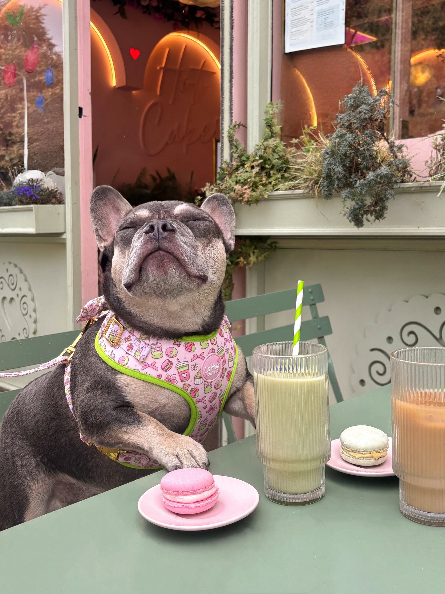 ‘Matcha Moment’ Harness