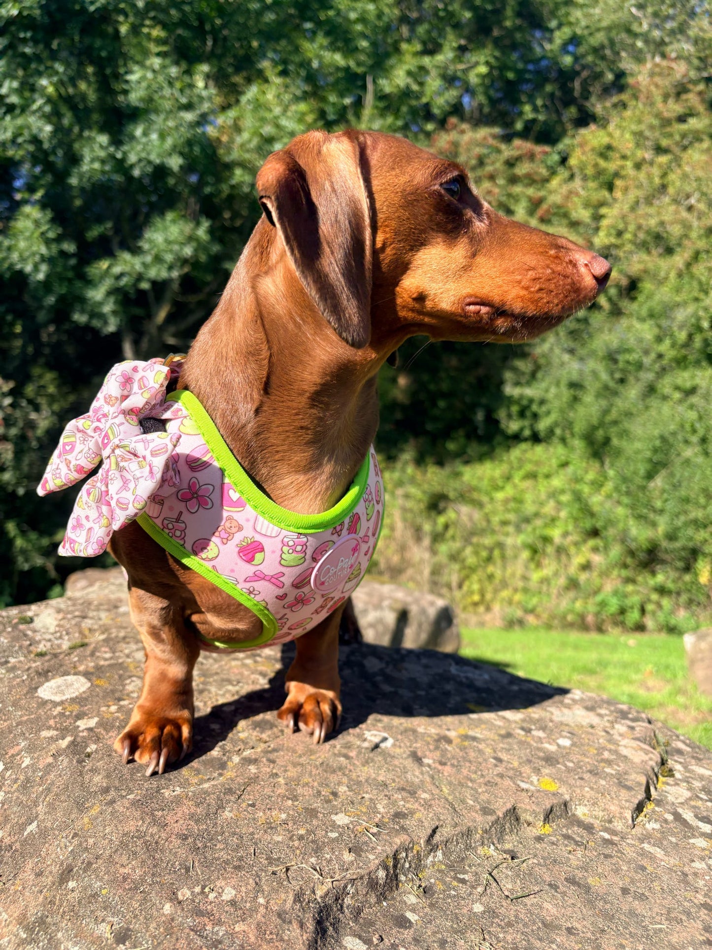 ‘Matcha Moment’ Sailor Bow