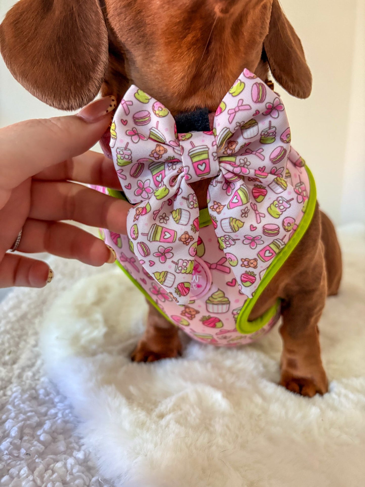 ‘Matcha Moment’ Sailor Bow