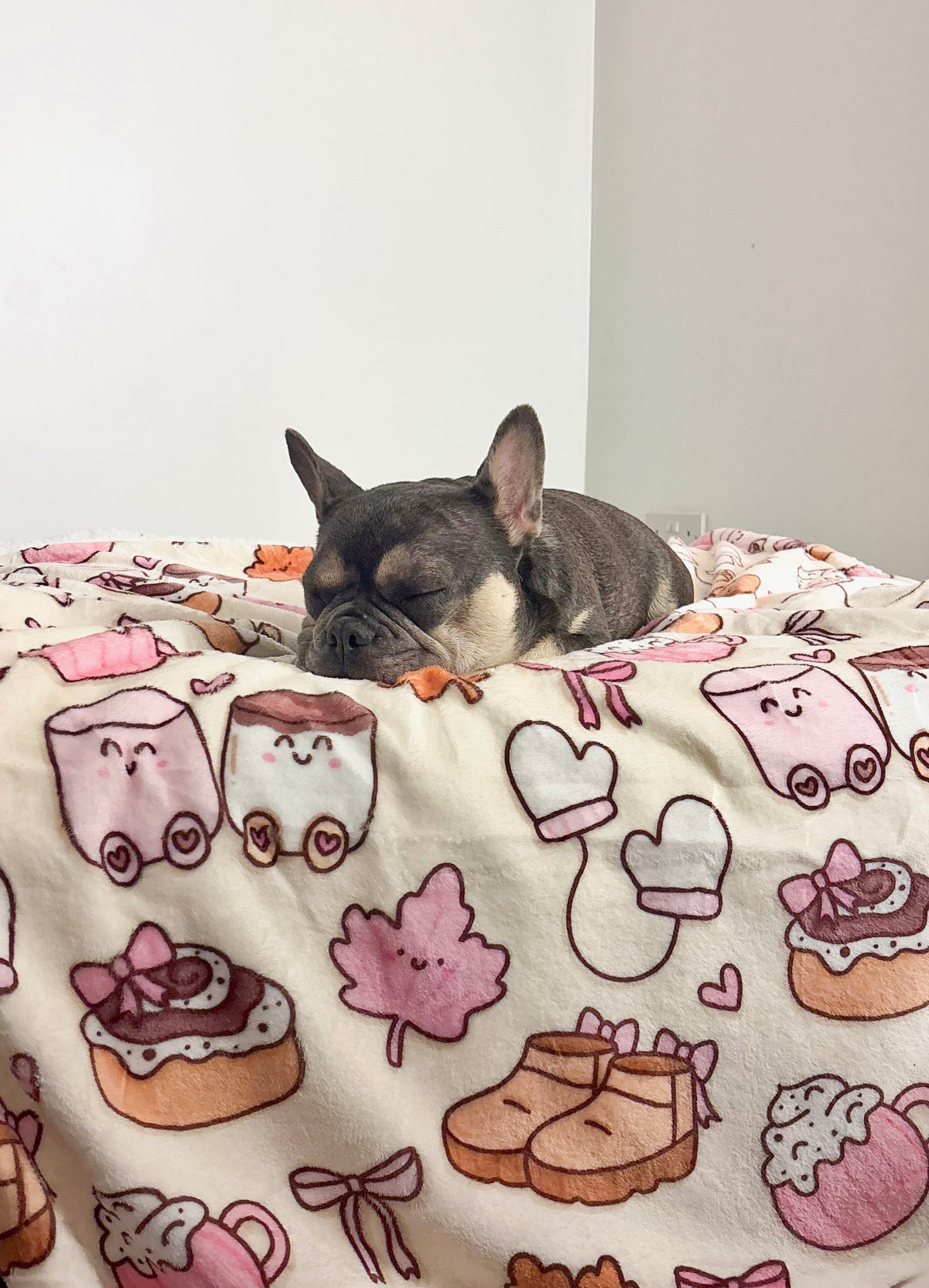 ‘Cozy Couture’ Blanket