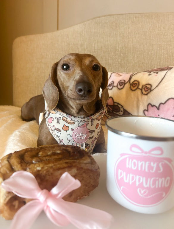 ‘Cozy Couture’ Harness