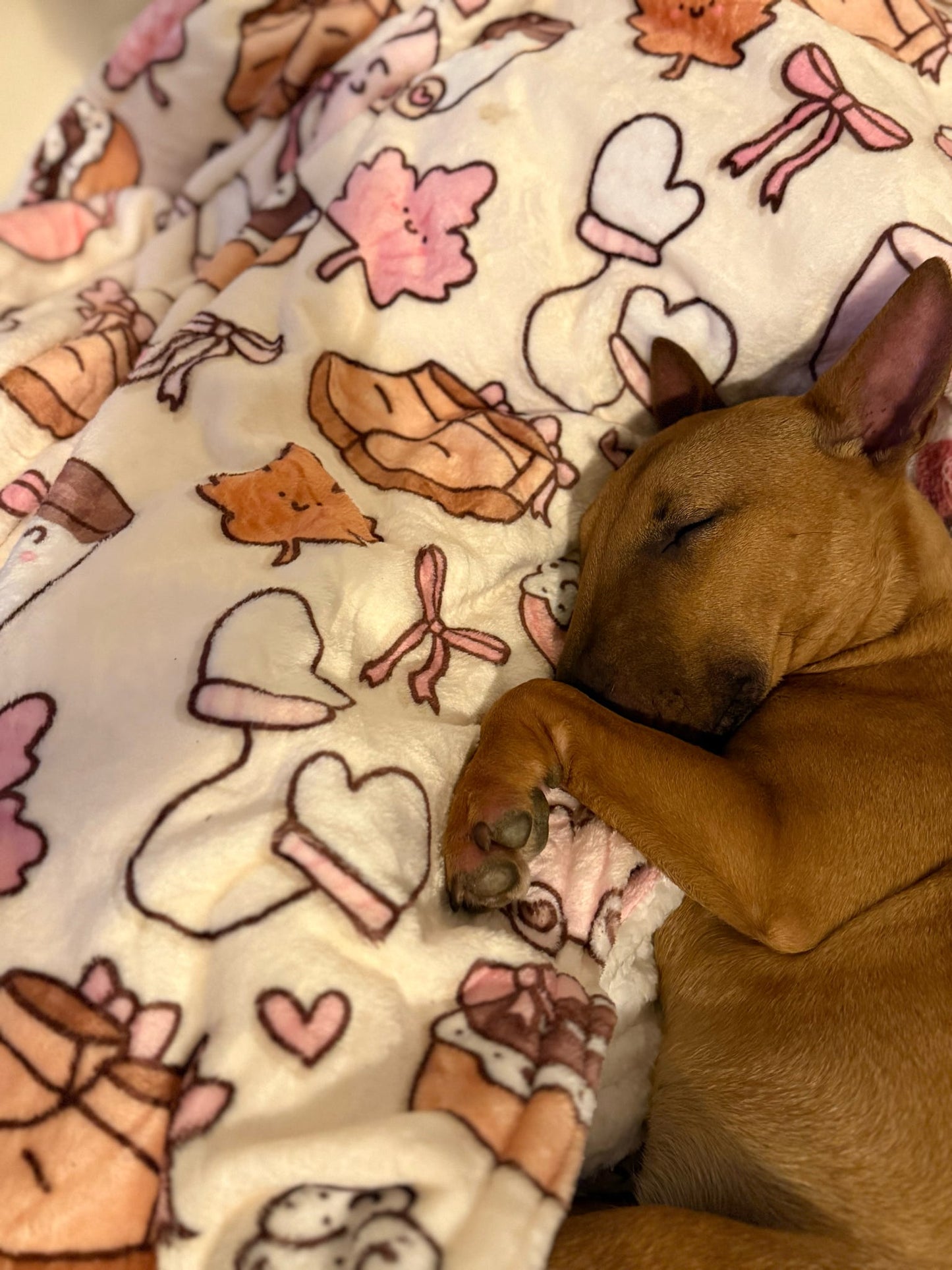 ‘Cozy Couture’ Blanket