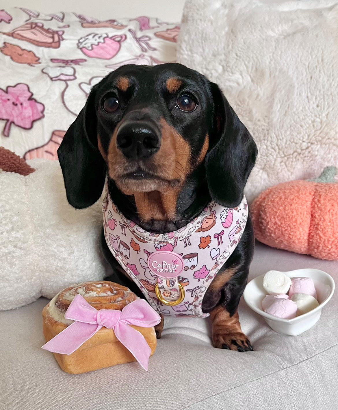 ‘Cozy Couture’ Blanket