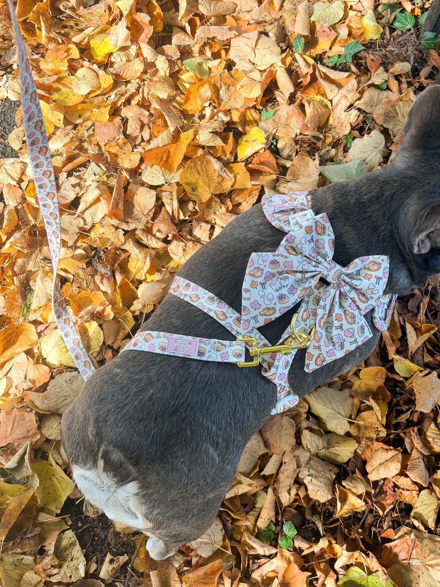 ‘Cozy Couture’ Sailor Bow