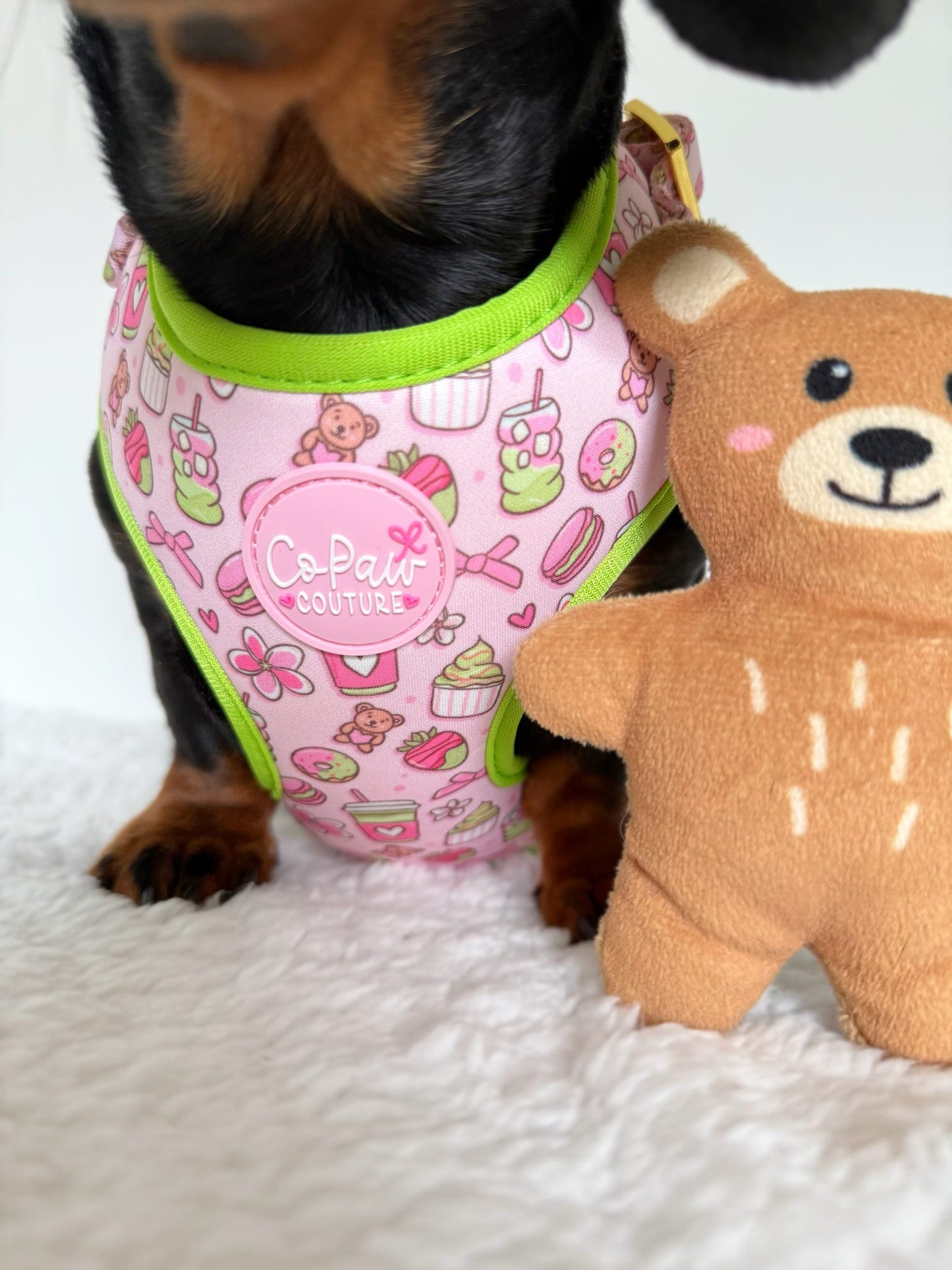 ‘Matcha Moment’ Harness