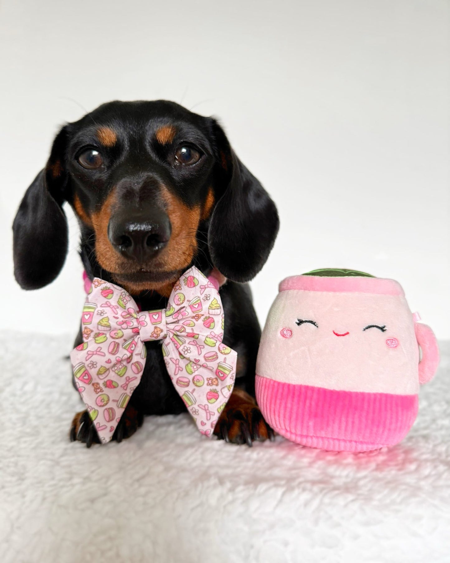 ‘Matcha Moment’ Sailor Bow