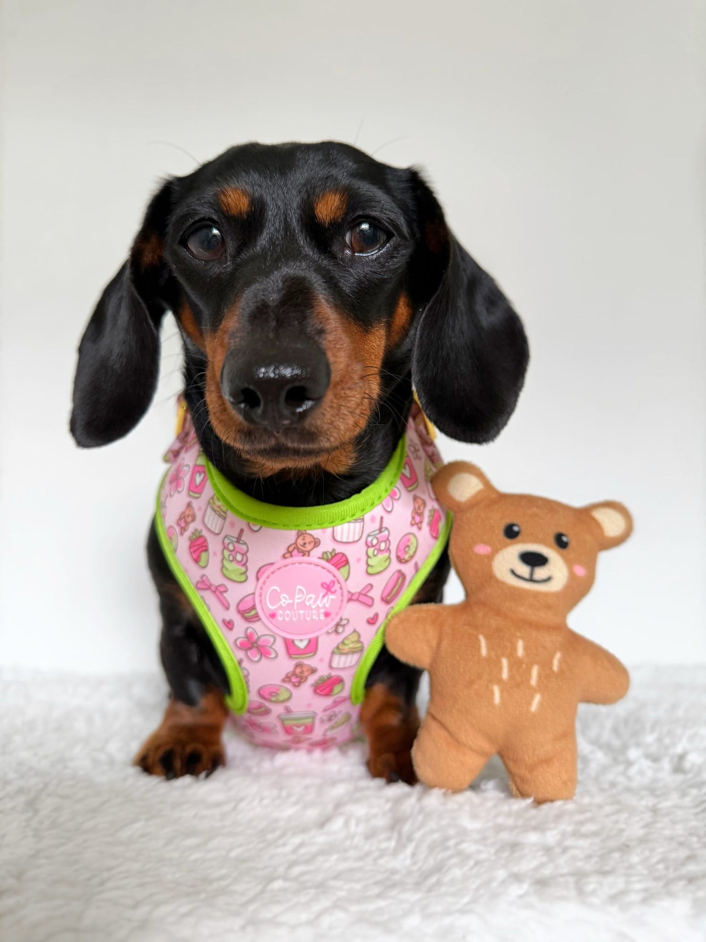 ‘Matcha Moment’ Harness