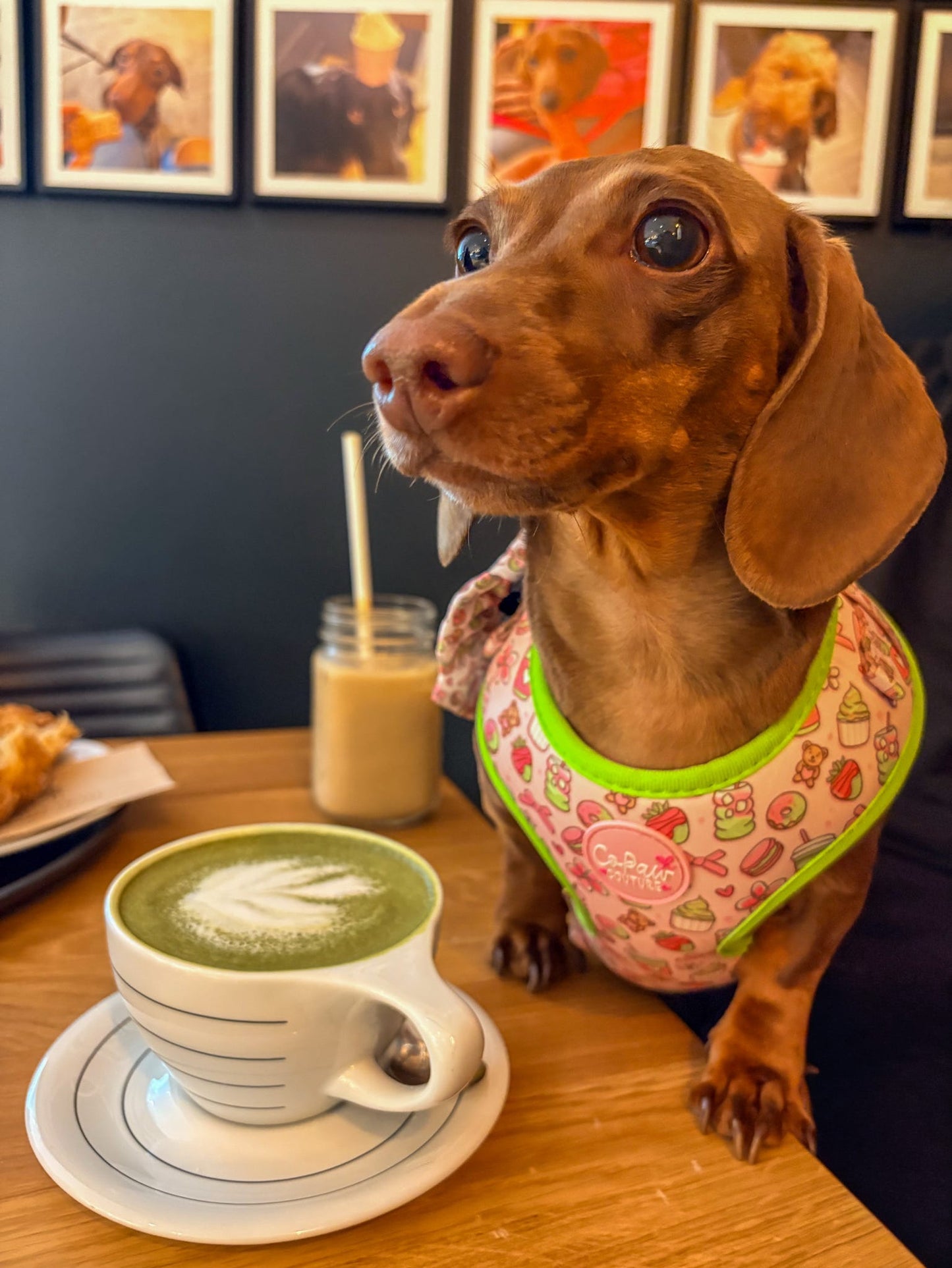 ‘Matcha Moment’ Harness