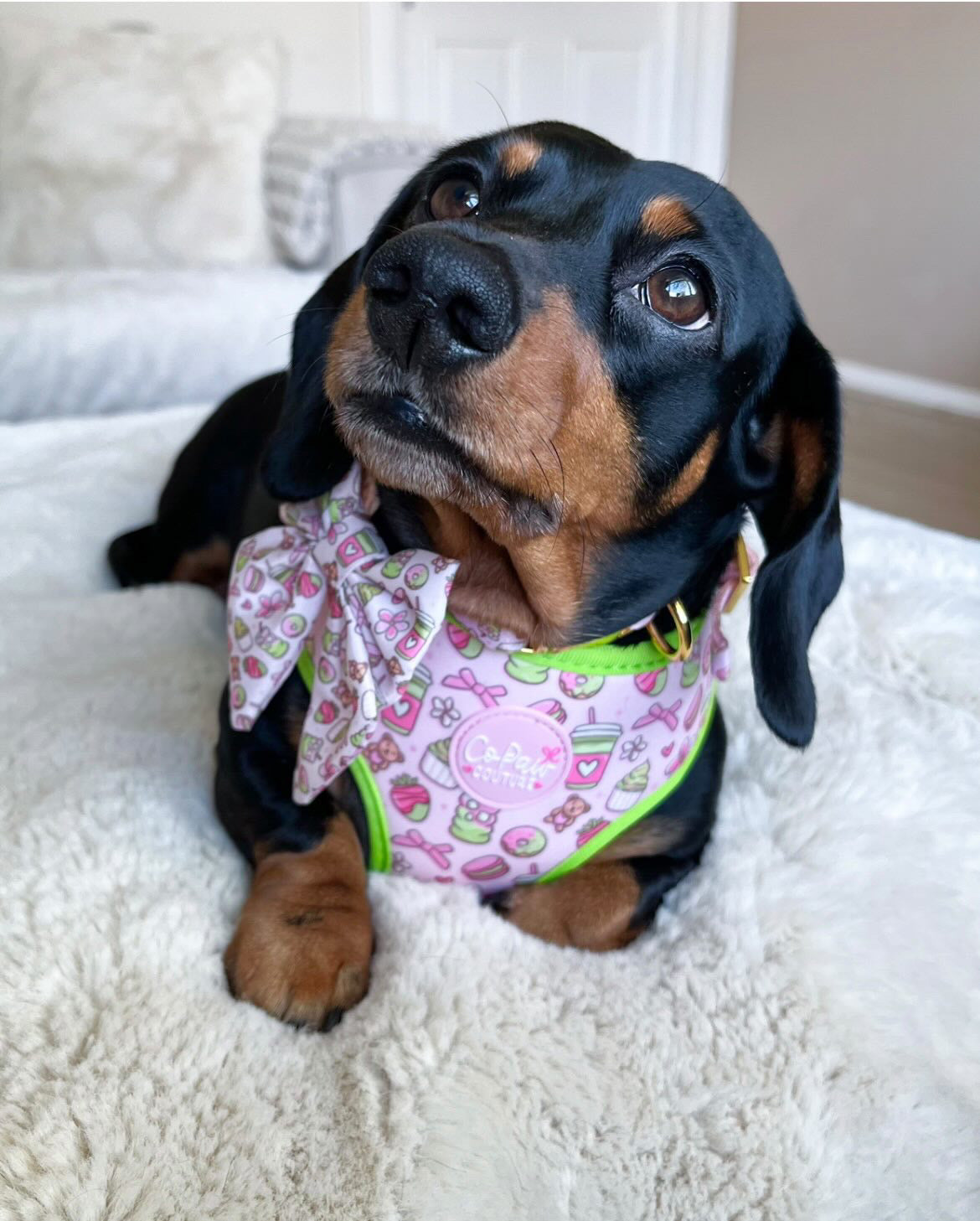 ‘Matcha Moment’ Sailor Bow